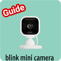 blink mini camera guide