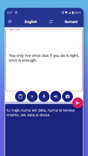 Romani English Translator Screenshot 2