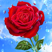Flowers Images GIF Roses