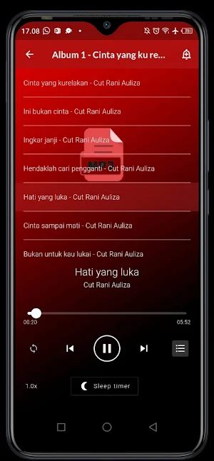 Kumpulan Lagu Cut Rani Pilihan Screenshot 1