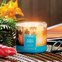 Goose Creek Candle