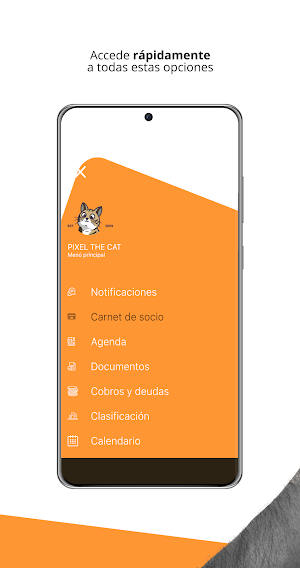 Píxel the Cat Screenshot 2