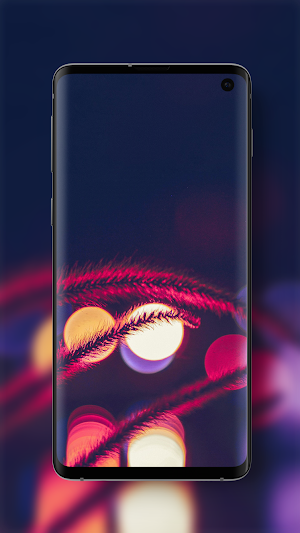 Photography HD Wallpapers & Backgrounds Screenshot 2
