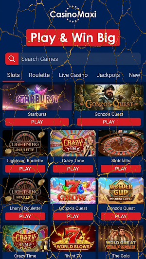 Casino Maxi Screenshot 1