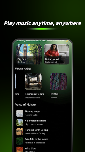 Offline Music Player Screenshot 0