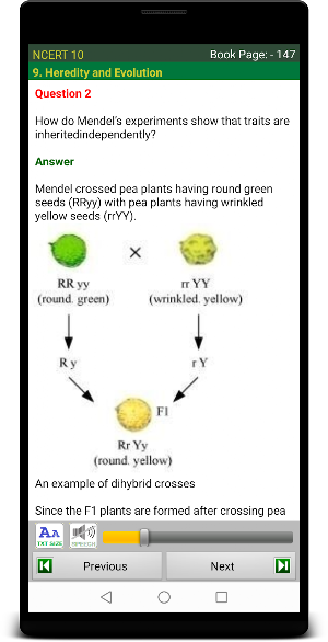 NCERT CBSE 10 Screenshot 2