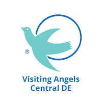 Visiting Angels Central DE