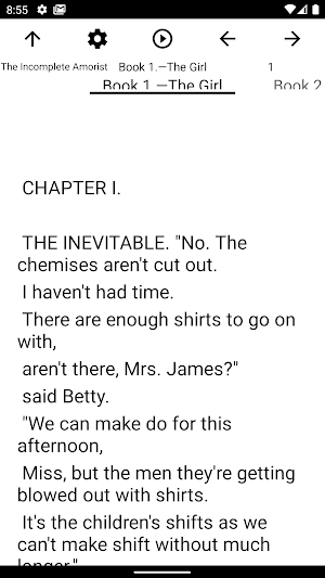 Book, The Incomplete Amorist Screenshot 1