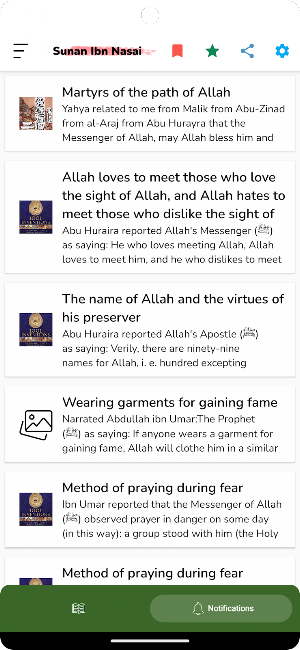 Sunan Ibn Nasai English Screenshot 1