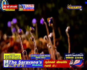 Sri vasanth TV Screenshot 2