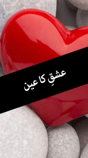 Ishq ka Ain by Aleem ul Haq - Offline Urdu Novel Screenshot 0