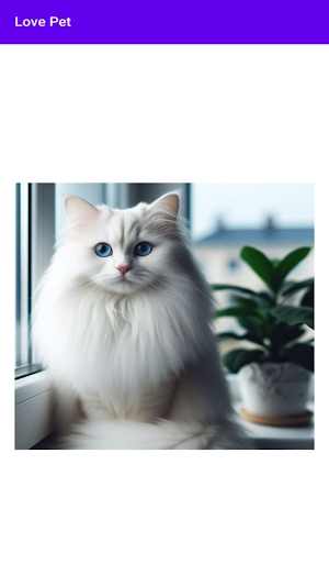 Love Pet Screenshot 2
