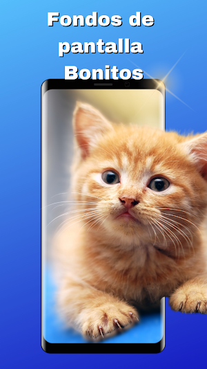 Fondos de Pantalla Bonitos Screenshot 0