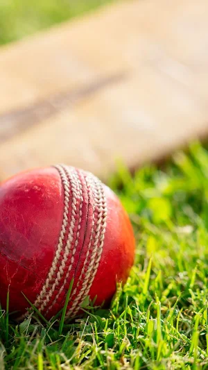 Cricket Wallpaper Screenshot 1