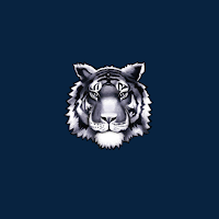Twinsburg Athletics