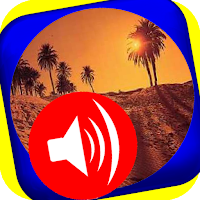 Tamasheq NT franç Engl Arabe