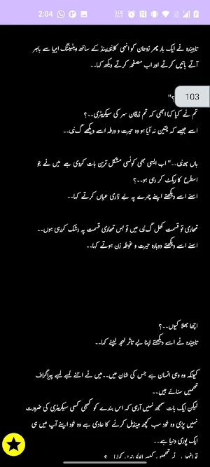 Ann Hayat Romantic Urdu Novel Screenshot 3