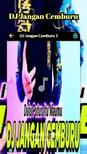 DJ Jangan Cemburu Screenshot 2