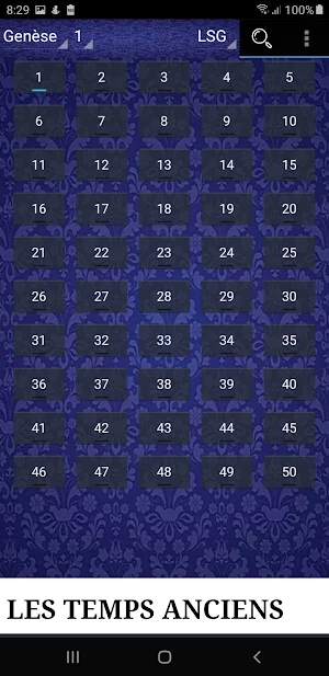 Sainte Bible LSG Screenshot 2