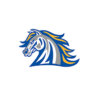 Horse Creek Academy Stallions