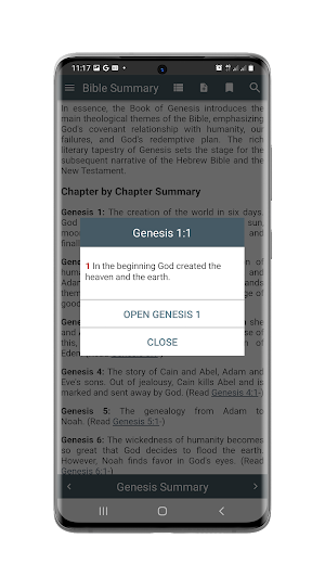 Bible Summary Screenshot 2