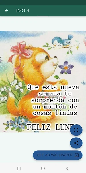 Saludos Diarios Bonitos Screenshot 1