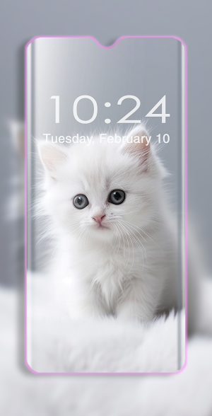 Cute Cats Wallpaper Screenshot 3