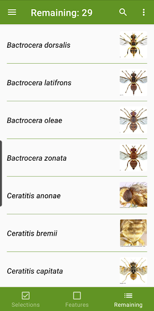 Key selected fruitflies Africa Screenshot 1