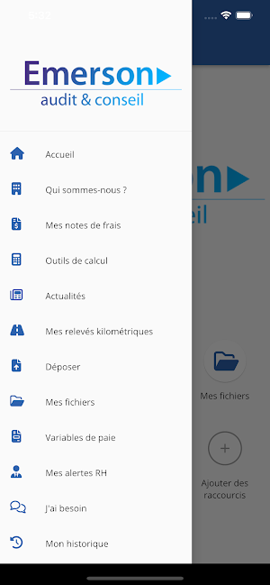 EMERSON Audit & Conseil Screenshot 3