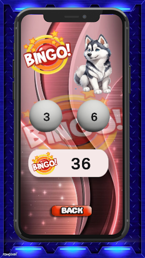 My lucky Numbers to Win Screenshot 3