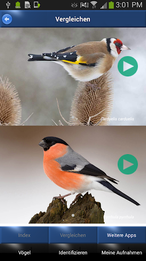 Vogelstimmen Id - Ruf + Gesang Screenshot 3