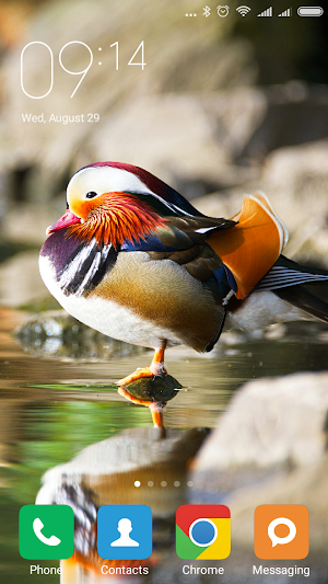 Mandarin duck Wallpapers Screenshot 1