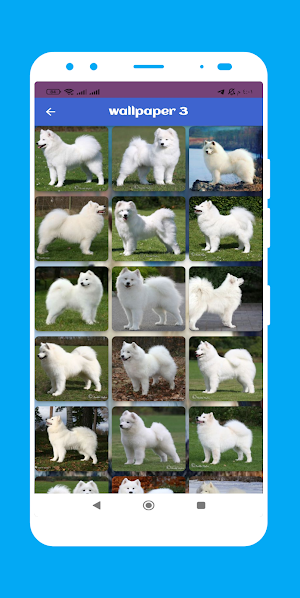 white dog wallpaper Screenshot 3