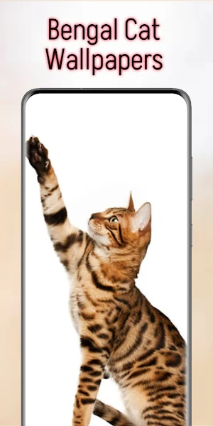 Bengal Cat Wallpapers Screenshot 2