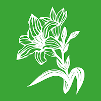 Ossendorf