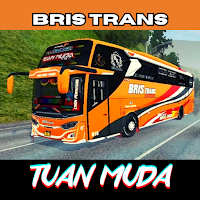 Mod Bus Bris Trans Tuan Muda