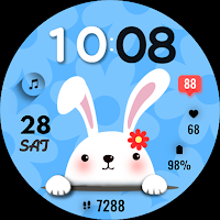 ML2U 200 Watch Face