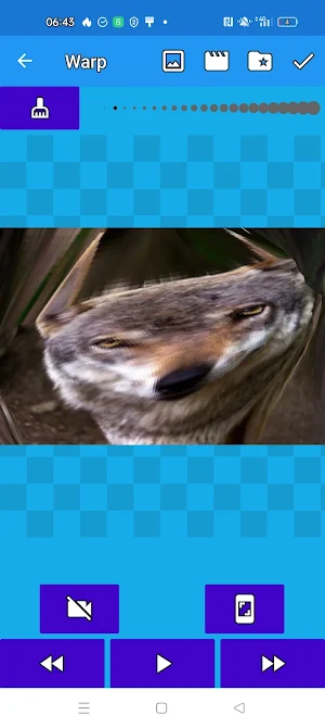 Warp Video Screenshot 3