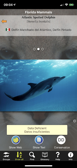 Florida Mammals Screenshot 0