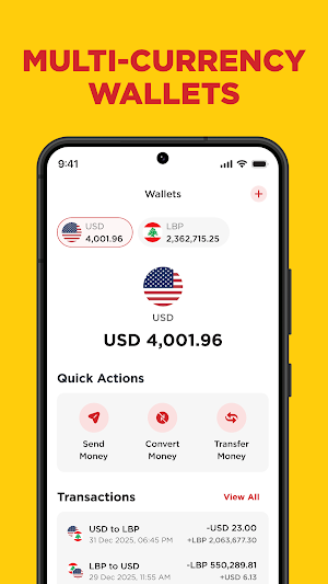 PayPlus Screenshot 1