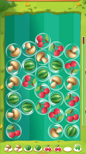 Fruits Sort Party Screenshot 2