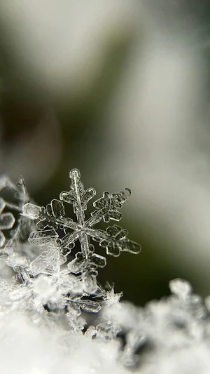 Snowflake Wallpaper Screenshot 0