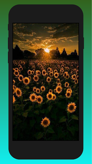street light wallpaper Screenshot 0