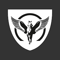 Fi.Fa. Security