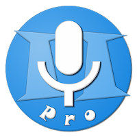 RecForge II Pro - Audio Record