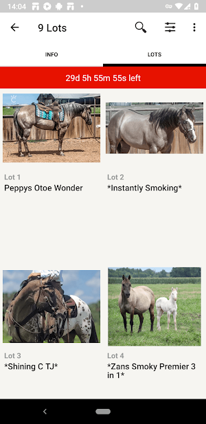 Shining C Grulla Horses Screenshot 2