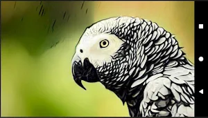 Animal & Bird Sounds Screenshot 3