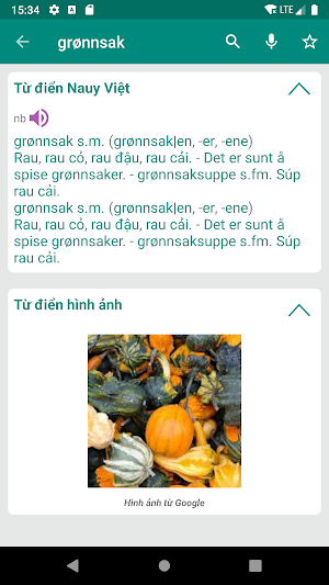 Norwegian Vietnamese Dictionary Screenshot 1