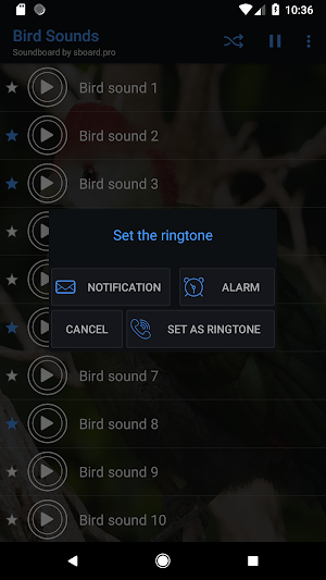 Bird sounds ~ Sboard.pro Screenshot 2