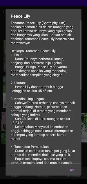 Taman hias Screenshot 1
